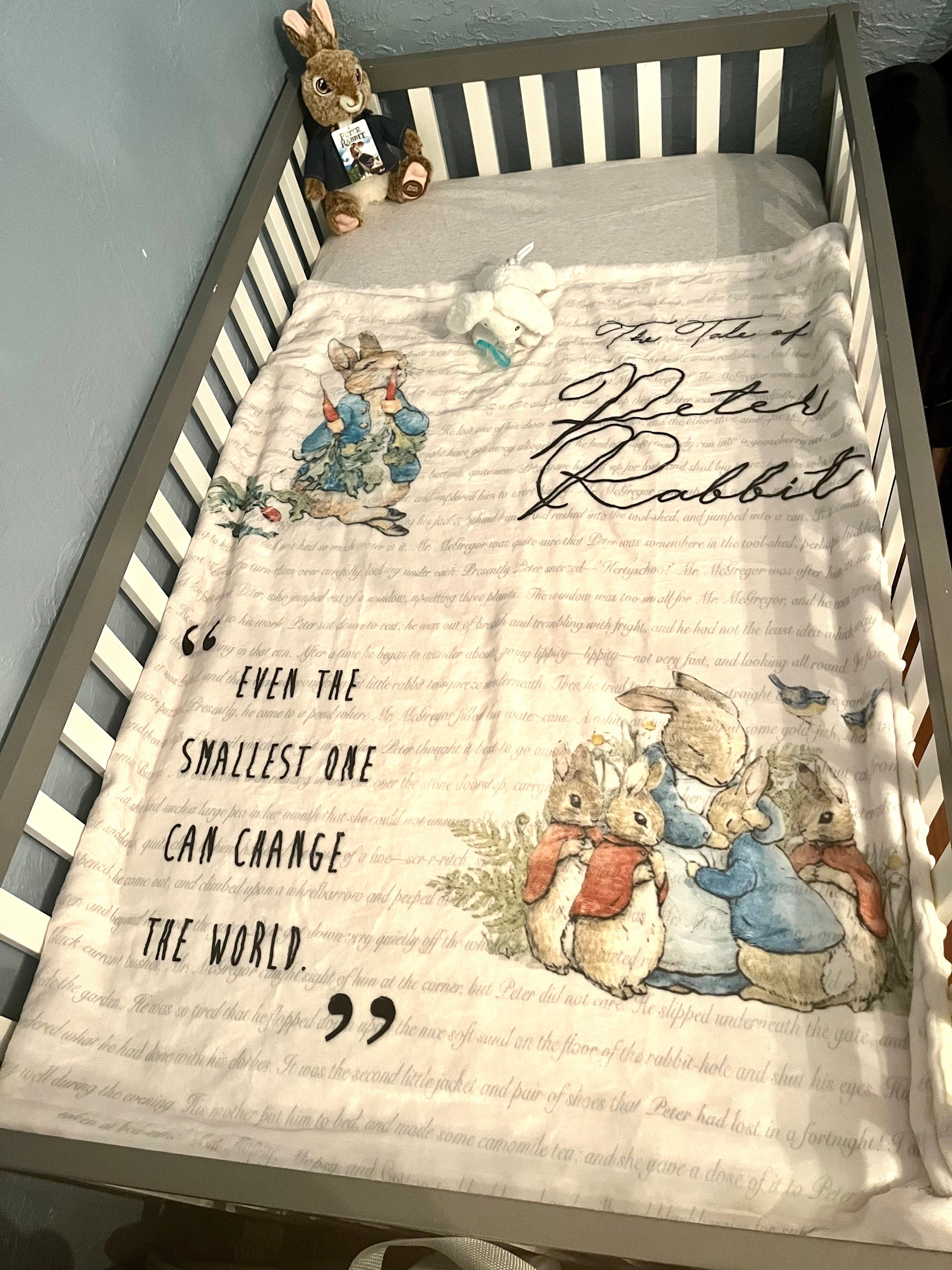 Peter Rabbit Baby Blanket, Peter Rabbit Nursery Baby Gift, Peter Rabbit Baby Shower, Beatrix Potter Minky Blanket, Bunny Rabbit Small Blanky