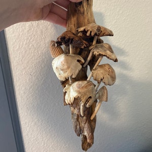 Olivia added a photo of their purchase