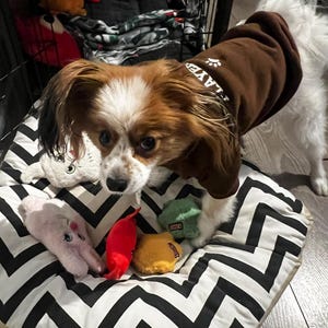 Daisy added a photo of their purchase