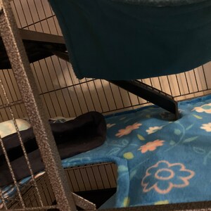 Parish added a photo of their purchase