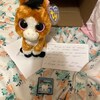 Jouet En Peluche Cadeau Noël TY Beanie Boo - Gnewman Le Lutin Vert