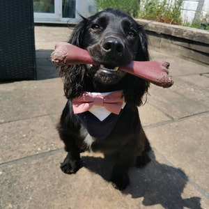 kate ha añadido una foto de su compra