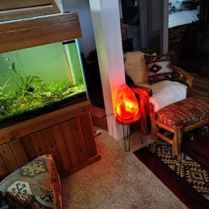 Michael added a photo of their purchase