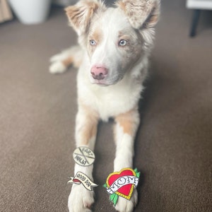 Maria added a photo of their purchase
