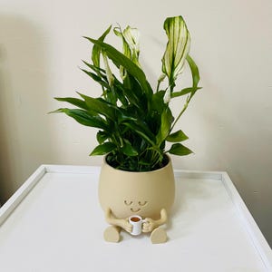 Venice added a photo of their purchase