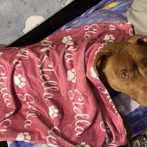 Amanda added a photo of their purchase