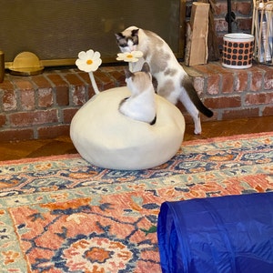 Elizabeth added a photo of their purchase