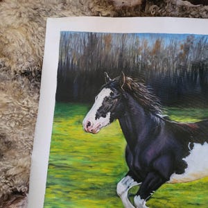 Paula added a photo of their purchase