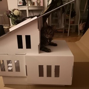 Jill added a photo of their purchase