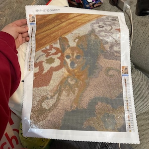 Carly added a photo of their purchase