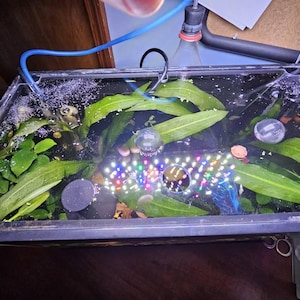 Casey added a photo of their purchase