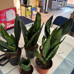 Kathryn added a photo of their purchase