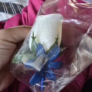 Aggie ha añadido una foto de su compra