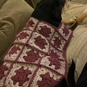 Amberli ha aggiunto una foto del proprio acquisto