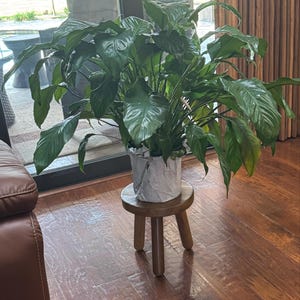 carol added a photo of their purchase