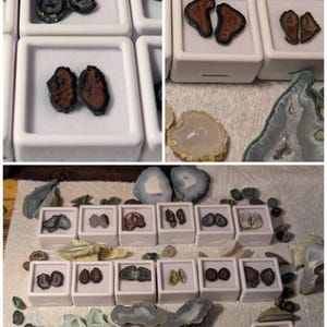 Ann-Marie added a photo of their purchase