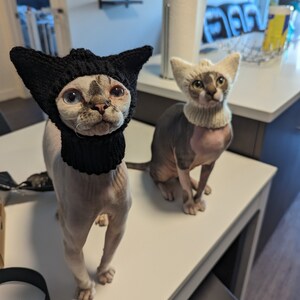 白猫の帽子 スフィンクス猫のアクセサリー ペット用ビーニー 無毛猫用