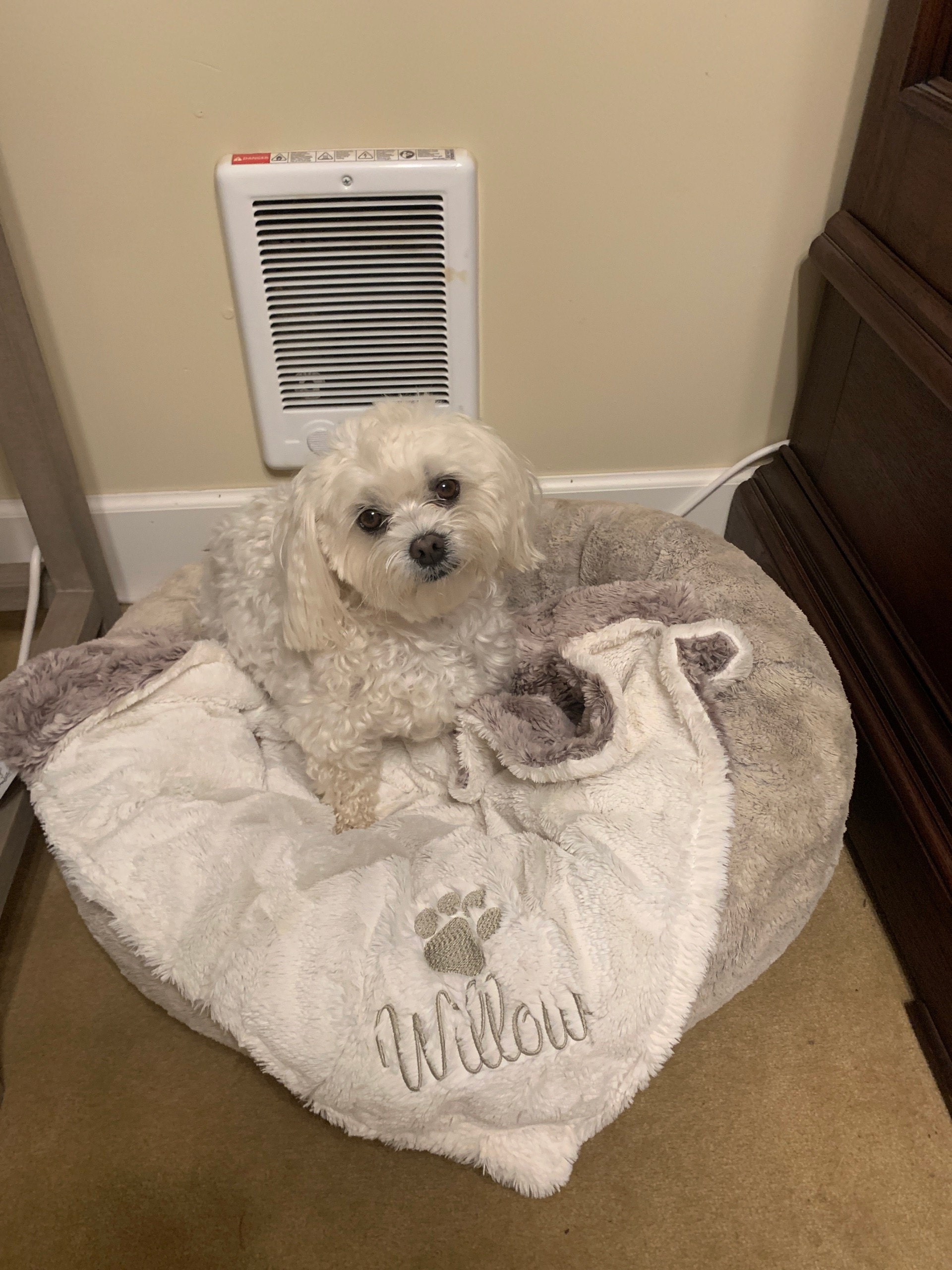 Personalized Wild Rabbit Sandshell dog Blanket, Brown Beige Dog Blanket, Paw Puppy Blanket, Personalized Dog Blanket