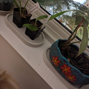 Rainy added a photo of their purchase