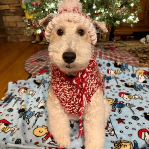 Sandi added a photo of their purchase