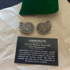 Galaxyite Thumb Stone - Polished Worry Stone For Focus And Transformation
