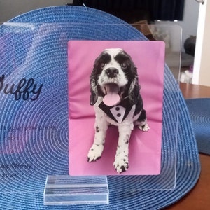 Kim added a photo of their purchase