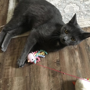 Lisa heeft een foto van de aankoop toegevoegd