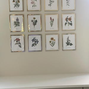 Teresa ha añadido una foto de su compra