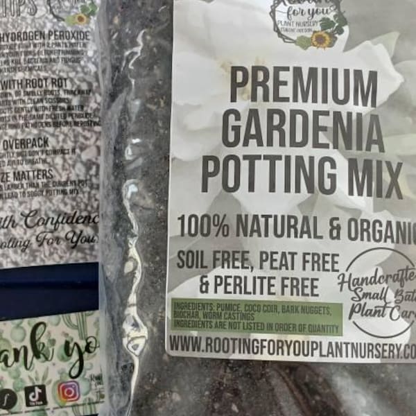 HYDRANGEA Premium Soil Less Potting Mix Oregon Licensed Nursery - - Etsy