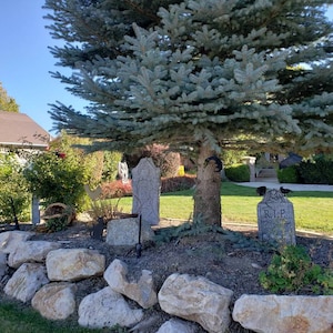 mary added a photo of their purchase