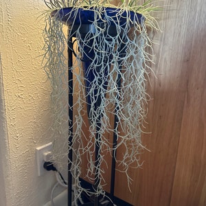 Etsy-koper heeft een foto van zijn/haar aankoop toegevoegd