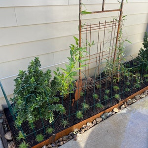 Kathleen added a photo of their purchase