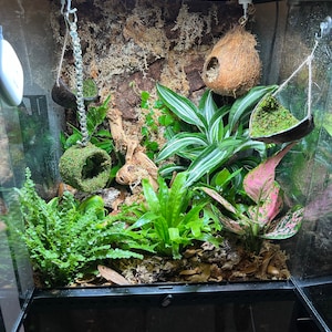 Cherish added a photo of their purchase