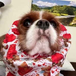 Michelle added a photo of their purchase