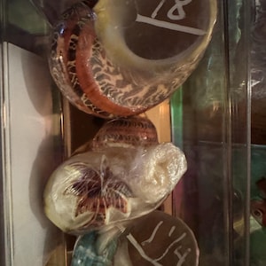 Suzanne added a photo of their purchase