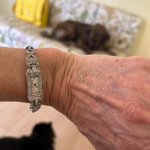 Sheri added a photo of their purchase