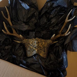 Jack added a photo of their purchase