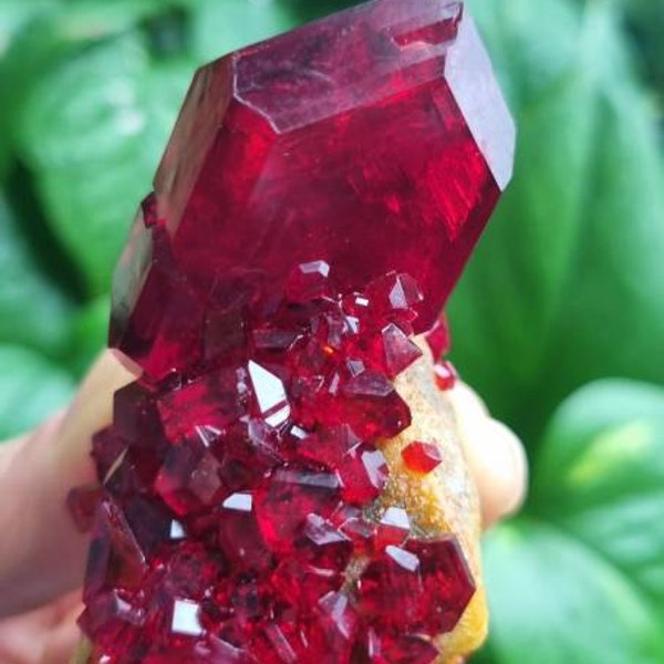 Ruby Rare GIFT! Rare PRUSKITE Ruby Crystal on Matrix Mineral Beautiful - Etsy