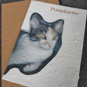 Angélique a ajouté une photo de son achat