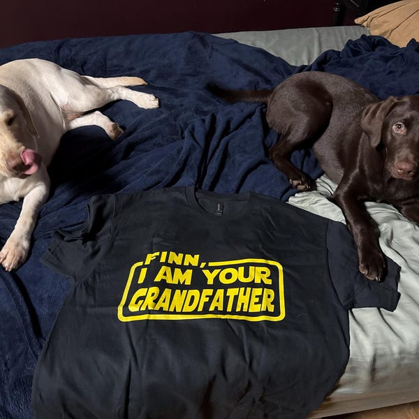 Personalized Off-road Girl Quilt Bed Sets - Up to 4 Dogs - Gift Idea For Dog/Off-road Lovers main image 0