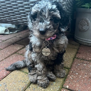 Jennifer added a photo of their purchase