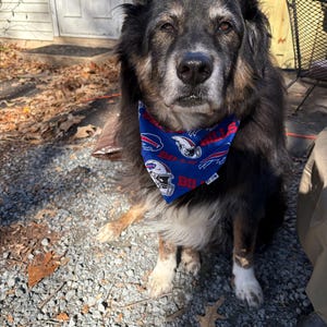 Molly added a photo of their purchase