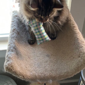Meagan added a photo of their purchase