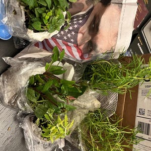 Marcie added a photo of their purchase