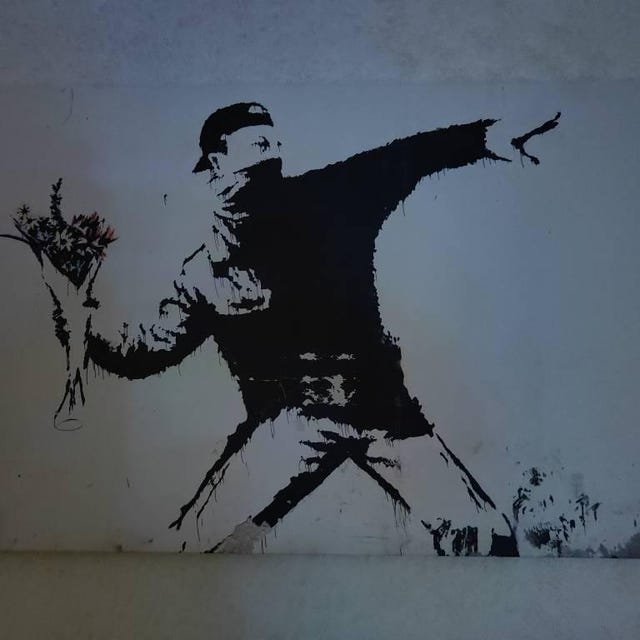Rage, Flower Thrower Banksy Wall Art Leather Print Floating Frame
