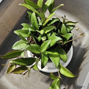 Kristen added a photo of their purchase