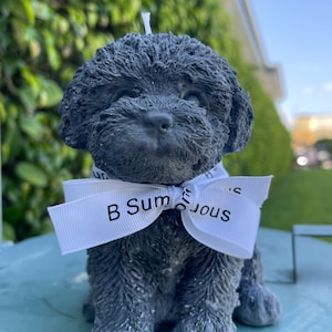 Betsy added a photo of their purchase