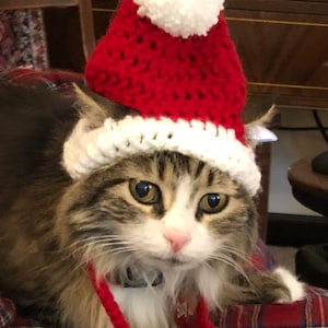 Santa Hat for Cats, Cat Santa Hat, Holiday Cat Hat, Christmas Hat for ...