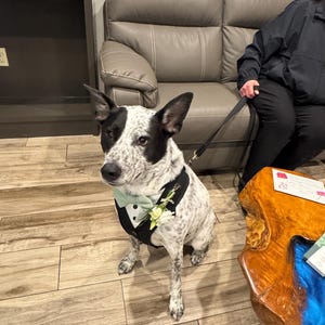 Heather dodał(a) zdjęcie swoich zakupów