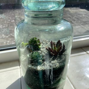 Phoebe added a photo of their purchase